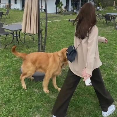 美狄亚的诅咒